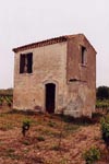 1er-05-1999 - 11h30
A 2 km au sud-ouest de la Daubinèle
34500 Béziers
Négatif : Francis CAHUZAC